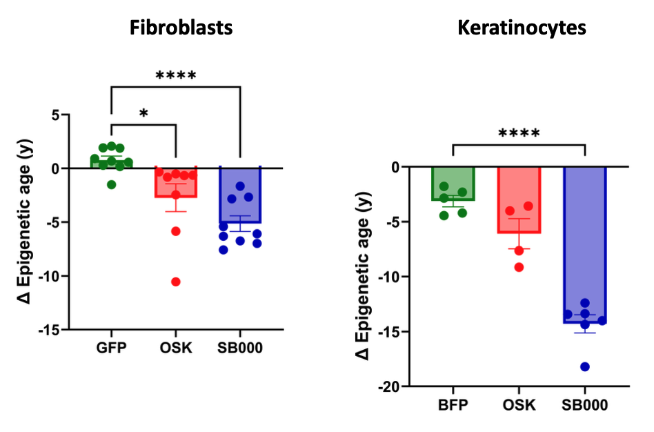 Principal component Skin & Blood DNA methylation clock